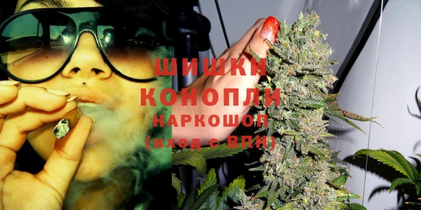 альфа пвп Новокубанск