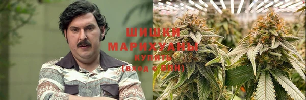ПСИЛОЦИБИНОВЫЕ ГРИБЫ Нея